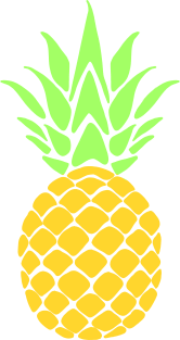 Pineapple Magnet