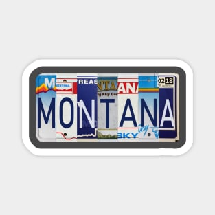 Montana License Plates Magnet