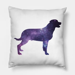 galaxy labrador Pillow