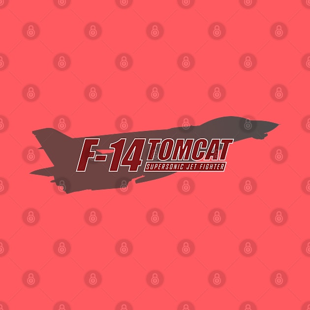 F-14 Tomcat by TCP