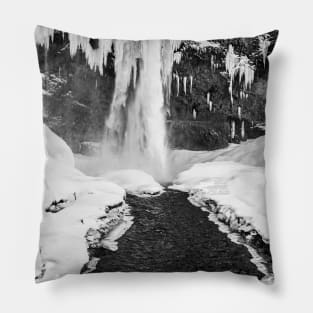 Waterfall B&W Pillow