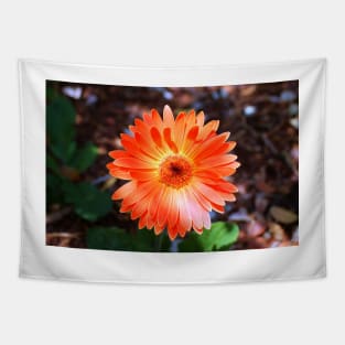 Orange Daisy Tapestry