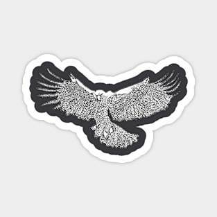 Eagle In Flight Magnet