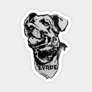 Negro Matapacos, the riot dog (evade, black and white) Magnet