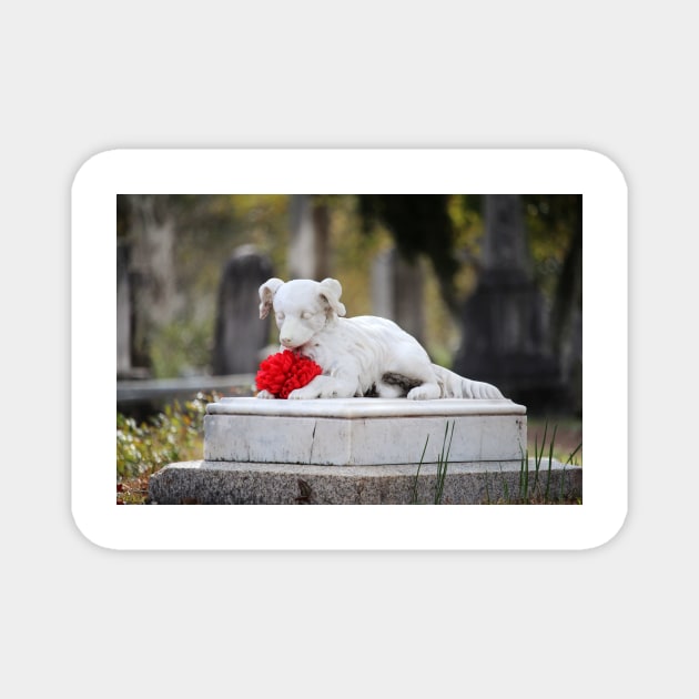 Dog Tombstone With Red Flower Magnet by Cynthia48