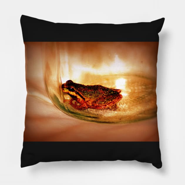 little tree frog in a mason jar Pillow by DlmtleArt