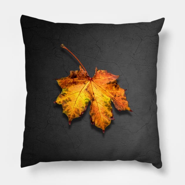 Leaf streetwear Pillow by PallKris