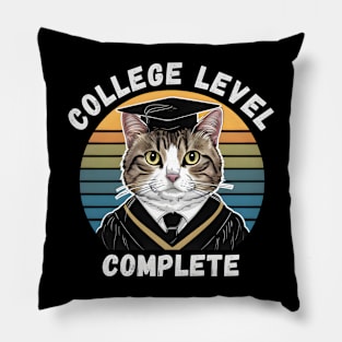 College Level Complete Pillow