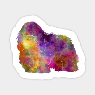 Coton de Tulear in watercolor Magnet