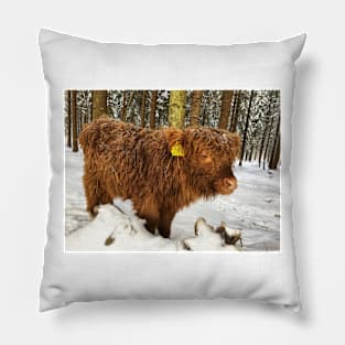 Scottish Highland Cattle Calf 1676 Pillow