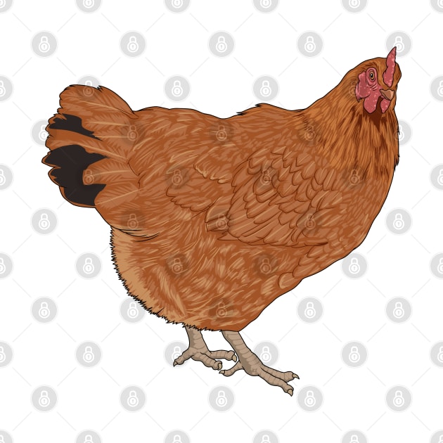 New Hampshire Chicken by Modern Medieval Design