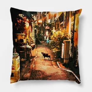 Japan Streets Pillow