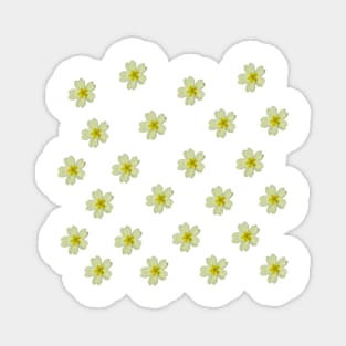 White Flowers Magnet