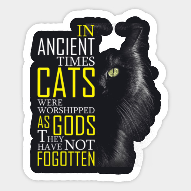 In Ancient Times Cats Were Worshipped As Gods Cat T Shirt Cat