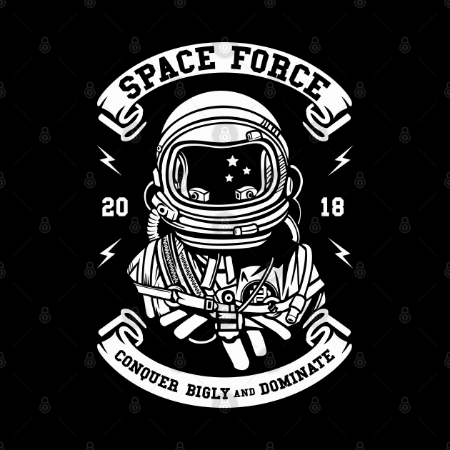 United States Space Force by machmigo