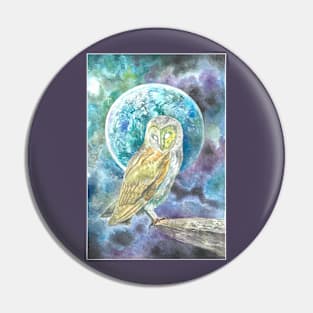 Owl and Moon Pin