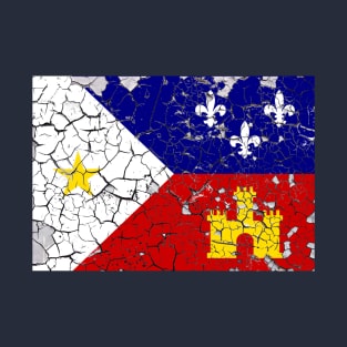 Peeling Acadiana Flag T-Shirt