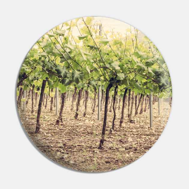 Vineyard Pin by Debra Cox 