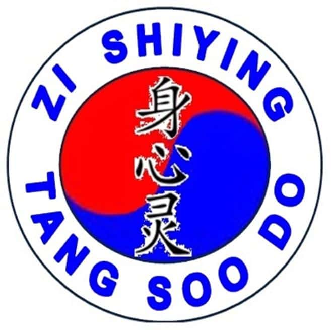 Zi Shiying Tang Soo Do profile image