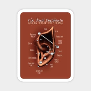 Elven Ear Piercing Chart, Dark Tone Skin Magnet