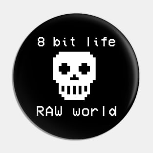 8 bit graphics Pin