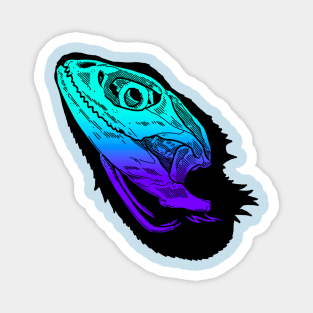 Colored Beardie Skull Magnet