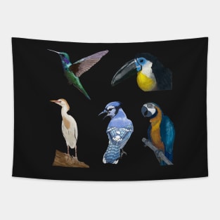 Five Bird Detailed Illustration Pack Tapestry