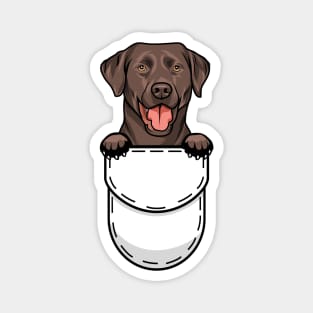 Funny Labrador Retriever Pocket Dog Magnet