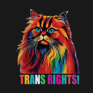 Trans Rights! T-Shirt