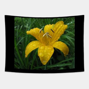 Wild lily after rain Tapestry