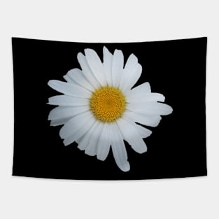 Daisy flower Tapestry