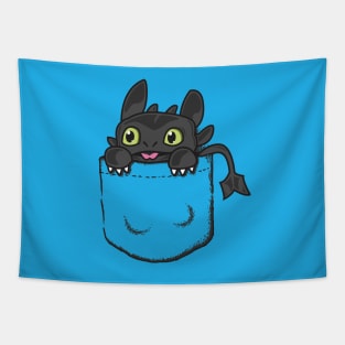 Pocket Toothless Tapestry