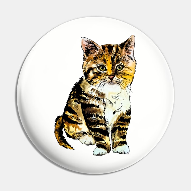 striped kitten Pin by VicaVeresk