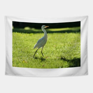 Cattle Egret: Tapestry