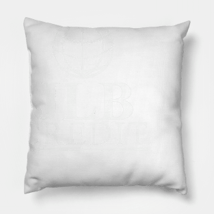 JLB Credit Pillow