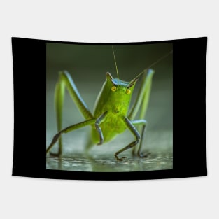 Grasshopper. Tapestry