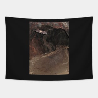 Batty Tapestry