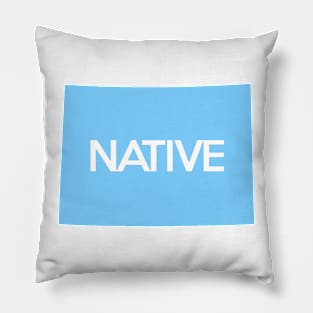 Colorado Native CO Blue Pillow