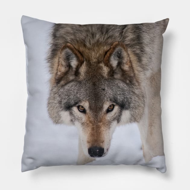 Timber Wolves Pillow by jaydee1400