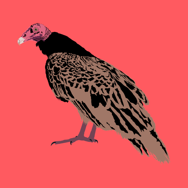 Turkey Vulture by stargatedalek