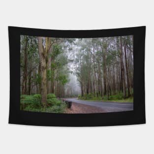 Tall gum trees on foggy Great Ocean Road, Australia. Tapestry