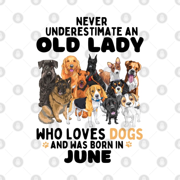 Never Underestimate An Old Lady Who Loves Dogs And Was June by JustBeSatisfied