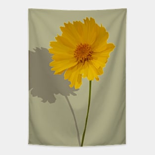 Lance-leaved coreopsis Tapestry