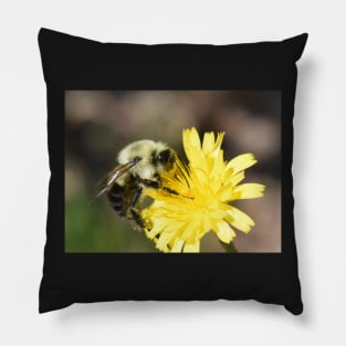 pollinator at work Pillow