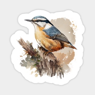 Nuthatch Bird On A Tree Branch 6.0 Magnet