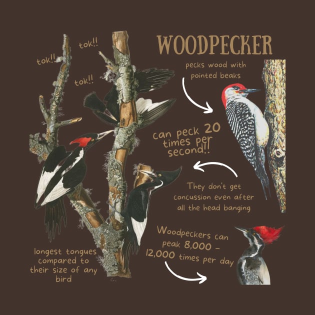 Animal Facts - Woodpecker by Animal Facts and Trivias