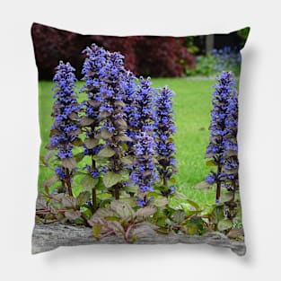 Bugleweed Pillow