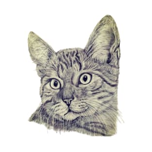 Tabby Cat T-Shirt