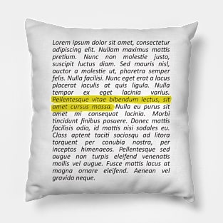 Lorem Ipsum Pillow