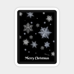 Snowflakes Magnet